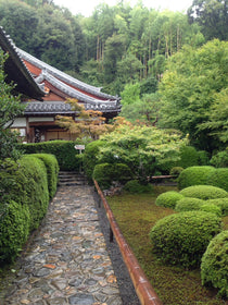 鈴虫寺